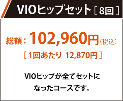 VIOヒップセット 1回あたり10,010円